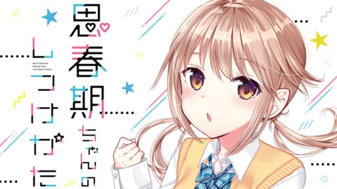 思春期ちゃんのしつけかた 표지